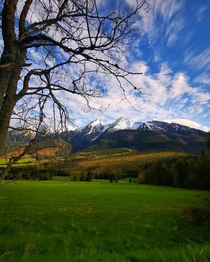Villa Chalupka U Lisky Elisky Ždiar Esterno foto