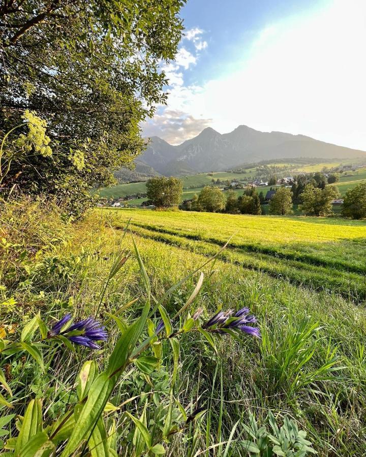 Villa Chalupka U Lisky Elisky Ždiar Esterno foto